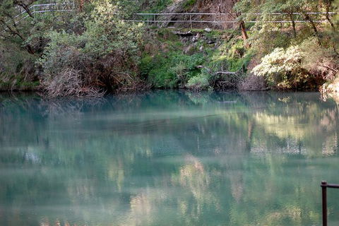 Jenolan Caves - Wildlife And Caves - Hotel WA 1