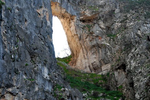 Jenolan Caves - Wildlife And Caves - Hotel WA 3