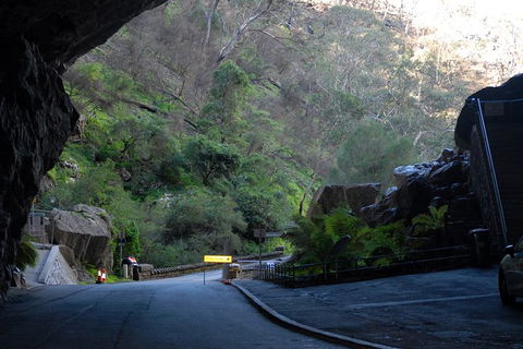 Jenolan Caves - Wildlife And Caves - Hotel WA 6