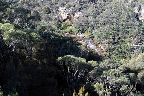 Blue Mountains Highlights & Featherdale Wildlife Park - Hotel WA 5
