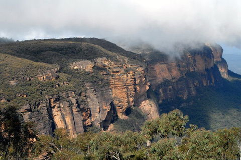 Blue Mountains Highlights & Featherdale Wildlife Park - Hotel WA 2