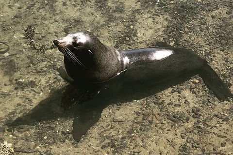 South Coast Photography Field Day - Hotel WA 5