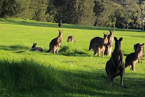 South Coast Photography Field Day - Hotel WA 6