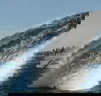 2hr Explorer Cruise - Sydney's best value whale watching cruise - Hotel WA