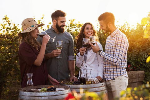Hunter Valley Highlights Private Wine Tour From Sydney - Hotel WA 0