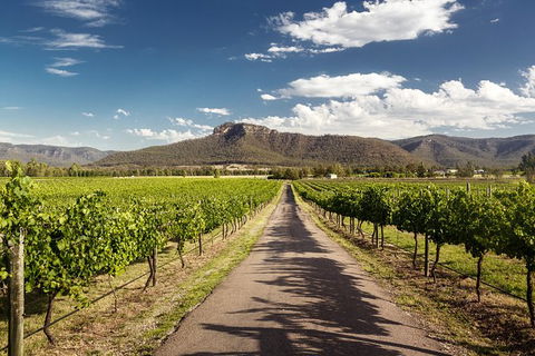 Hunter Valley Highlights Private Wine Tour From Sydney - Hotel WA 2