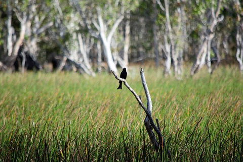 ETHICAL ADVENTURES - Dry Season Litchfield Region, Max 10 Guests - Hotel WA 2