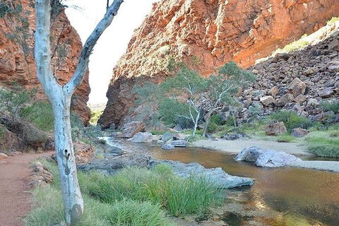 Alice Springs, Uluru Ayers Rock & Kings Canyon 8 Days Touring Package - Hotel WA 2