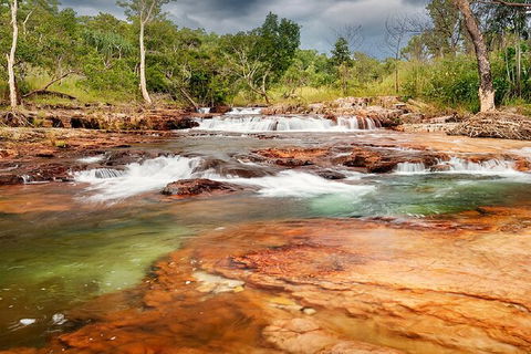 Full-Day Private Guided Tour To Litchfield National Park - Hotel WA 14