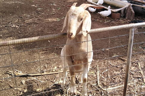 Full-Day Private Guided Tour To Litchfield National Park - Hotel WA 10