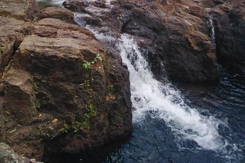 Full-Day Private Guided Tour To Litchfield National Park - Hotel WA 8