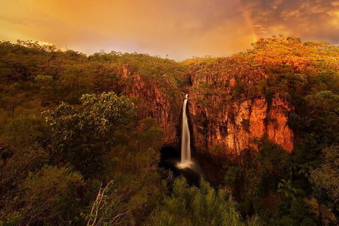 Full-Day Private Guided Tour To Litchfield National Park - Hotel WA 20