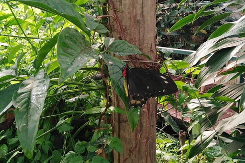 Full-Day Private Guided Tour To Litchfield National Park - Hotel WA 1