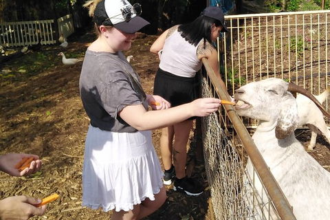 Full-Day Private Guided Tour To Litchfield National Park - Hotel WA 4