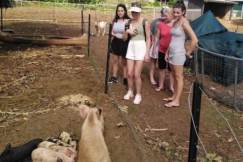 Full-Day Private Guided Tour To Litchfield National Park - Hotel WA 13