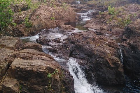 Full-Day Private Guided Tour To Litchfield National Park - Hotel WA 15