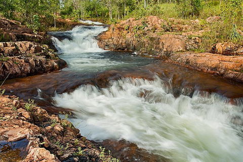 Full-Day Private Guided Tour To Litchfield National Park - Hotel WA 3