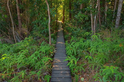 Full-Day Private Guided Tour To Litchfield National Park - Hotel WA 7