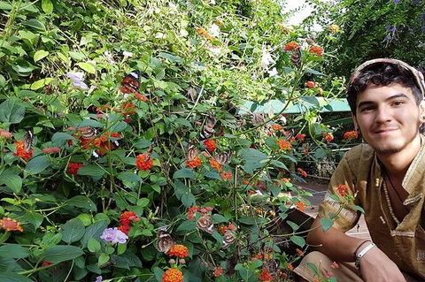 Full-Day Private Guided Tour To Litchfield National Park - Hotel WA 17