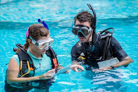 PADI Diving Courses On The Gold Coast - Hotel WA 0