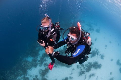 PADI Diving Courses On The Gold Coast - Hotel WA 5