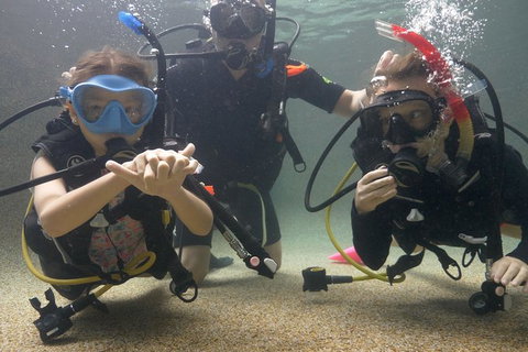 Scuba Kids- Padi Bubblemaker Course - Hotel WA 4