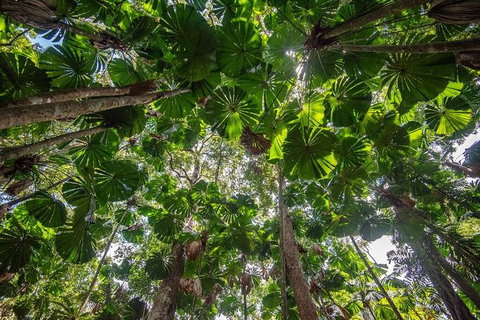 5 Day Australia Retreat: Queensland Daintree - Hotel WA 4
