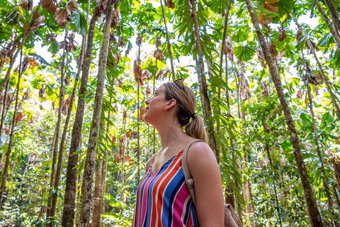 5 Day Australia Retreat: Queensland Daintree - Hotel WA 3