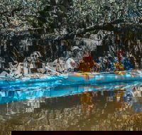 Kayak Tour in Adelaide Dolphin Sanctuary - Hotel WA