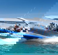 Seal Island Boat Tour from Victor Harbor - Hotel WA