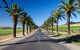Discover Barossa Wine History& Heritage - Private Day Tour - thumb 4