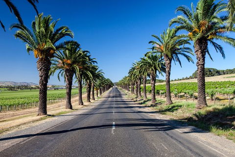 Discover Barossa Wine History& Heritage - Private Day Tour - Hotel WA 4