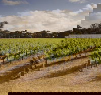Private Langhorne Creek Wine Region Tour from Adelaide - Hotel WA