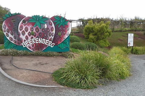 Adelaide Hills Regional / Hahndorf German Village Tour - Hotel WA 6