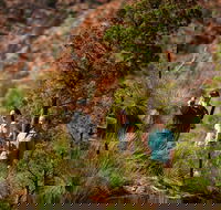 3-Night Wilpena Pound Getaway Including Scenic Flight and 4WD Tour - Hotel WA