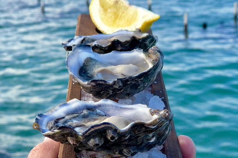 Coffin Bay Oysters, Ocean & Nature Tour - Hotel WA 0