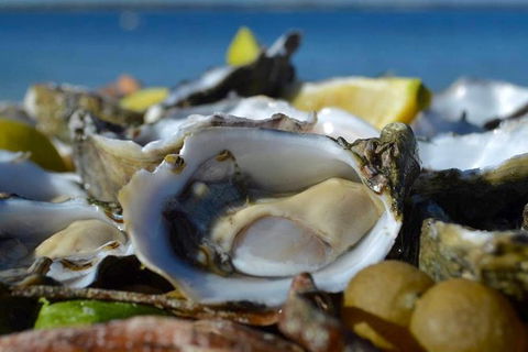 Coffin Bay Oysters, Ocean & Nature Tour - Hotel WA 8