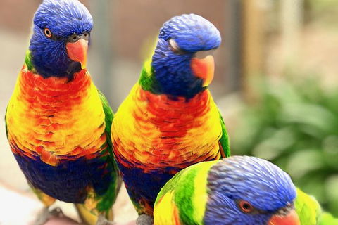 Coffin Bay Oysters, Ocean & Nature Tour - Hotel WA 9