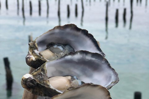 Coffin Bay Oysters, Ocean & Nature Tour - Hotel WA 6