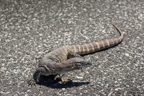 Coffin Bay Oysters, Ocean & Nature Tour - Hotel WA 5