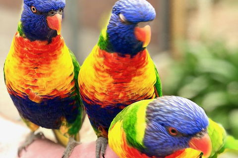 Coffin Bay Oysters, Ocean & Nature Tour - Hotel WA 1