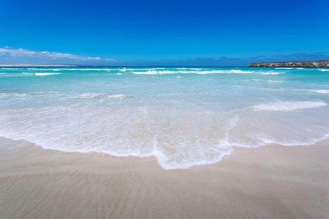 Coffin Bay Oysters, Ocean & Nature Tour - Hotel WA 14