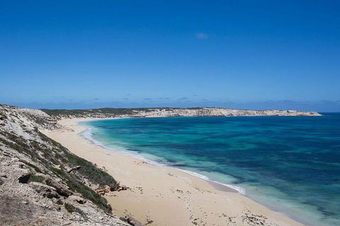Coffin Bay Oysters, Ocean & Nature Tour - Hotel WA 16