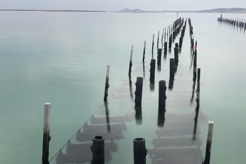 Coffin Bay Oysters, Ocean & Nature Tour - Hotel WA 15