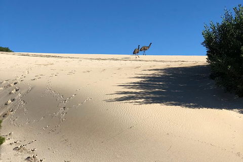 Coffin Bay Oysters, Ocean & Nature Tour - Hotel WA 4