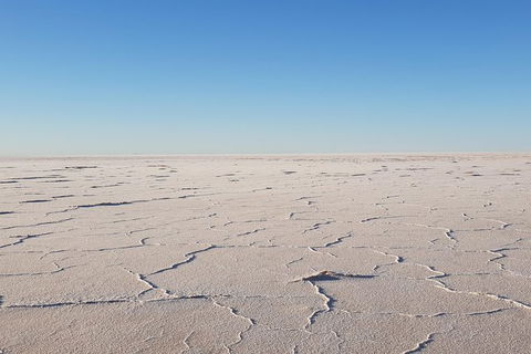 4 Day Adelaide To Coober Pedy Adventure - Hotel WA 3
