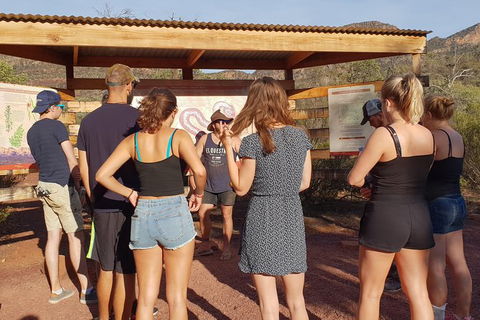4 Day Adelaide To Coober Pedy Adventure - Hotel WA 6