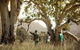 Yura Udnyu - Our Culture, Your Culture (Aboriginal Cultural Walk) - thumb 3