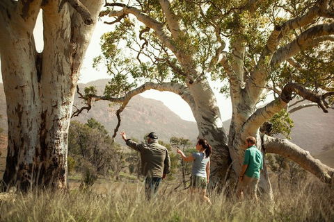 Yura Udnyu - Our Culture, Your Culture (Aboriginal Cultural Walk) - Hotel WA 3