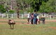 Yura Udnyu - Our Culture, Your Culture (Aboriginal Cultural Walk) - thumb 5